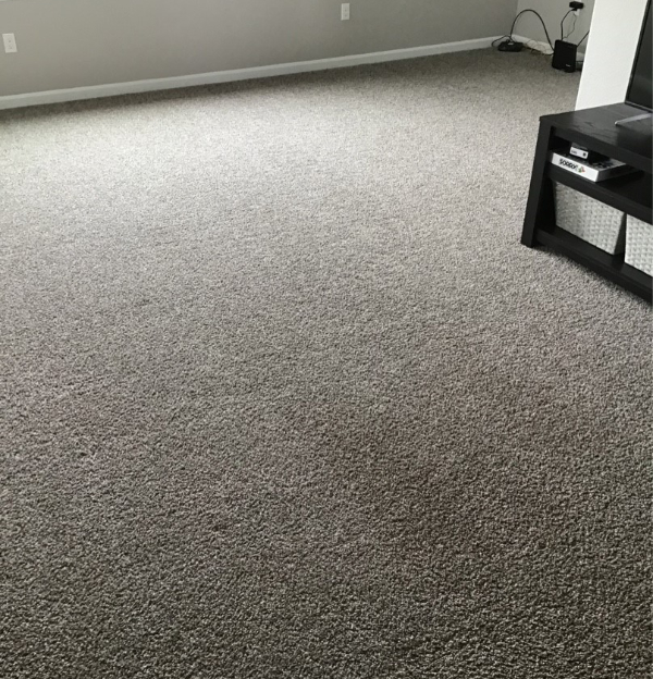 Living room with gray walls and beige carpeting after cleaning services