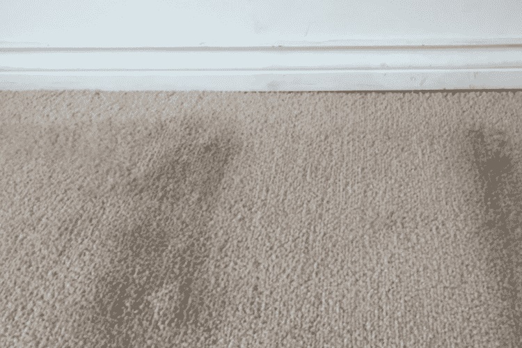 Beige low-pile carpeting with mold spots in white room